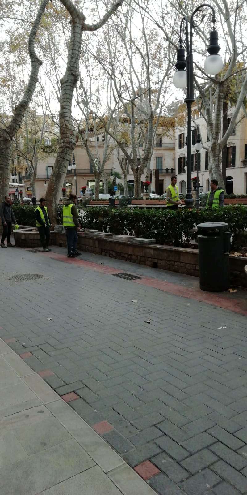 L’Ajuntament de Palma arregla	el Passeig des Born